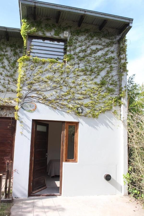 Casita Moderna Frente Al Bosque Apartment Mar del Plata Bagian luar foto